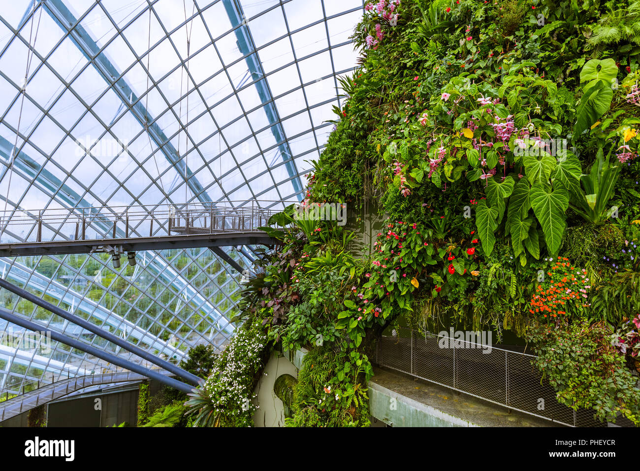 Cloud Forest cupola a giardini dalla Baia di Singapore Foto Stock