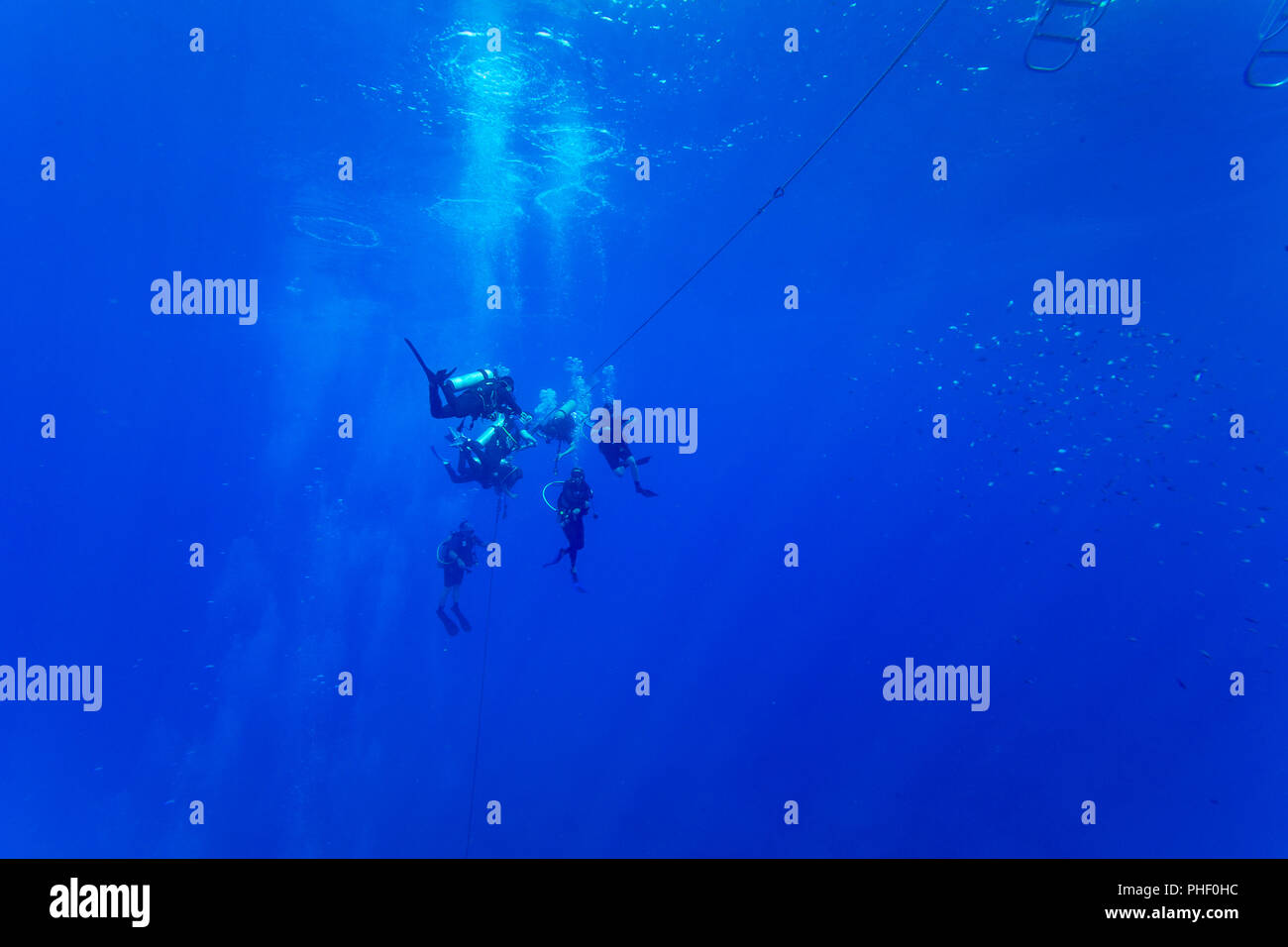 Divers (MR) nella foto appese a 15 piedi per una sosta di decompressione prima di rifinitura, Hawaii. Foto Stock