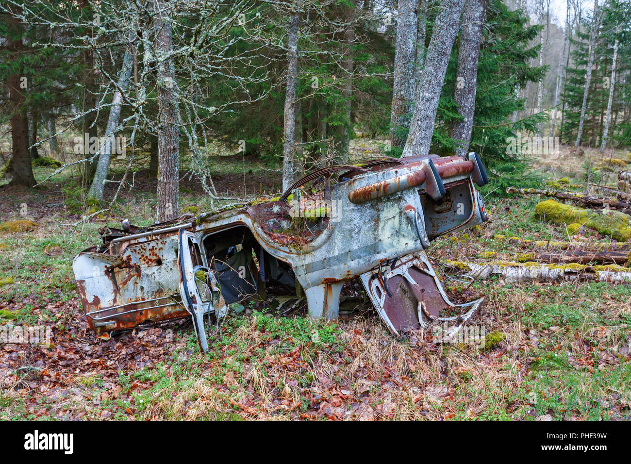 L'auto nel bosco immagini e fotografie stock ad alta risoluzione - Alamy