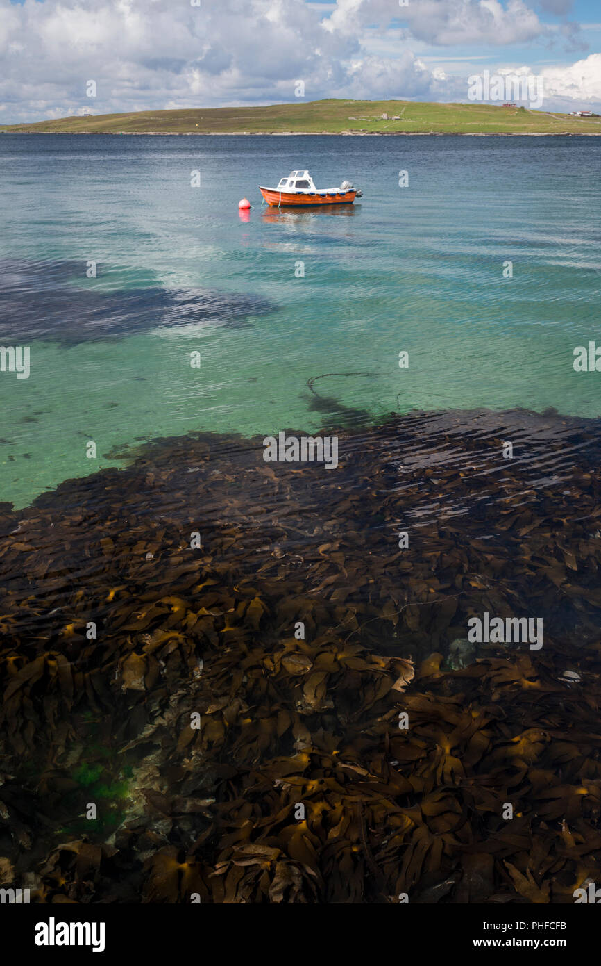 Piccola imbarcazione attraccata offshore a Lerwick, isole Shetland, Scozia in una giornata di sole Foto Stock