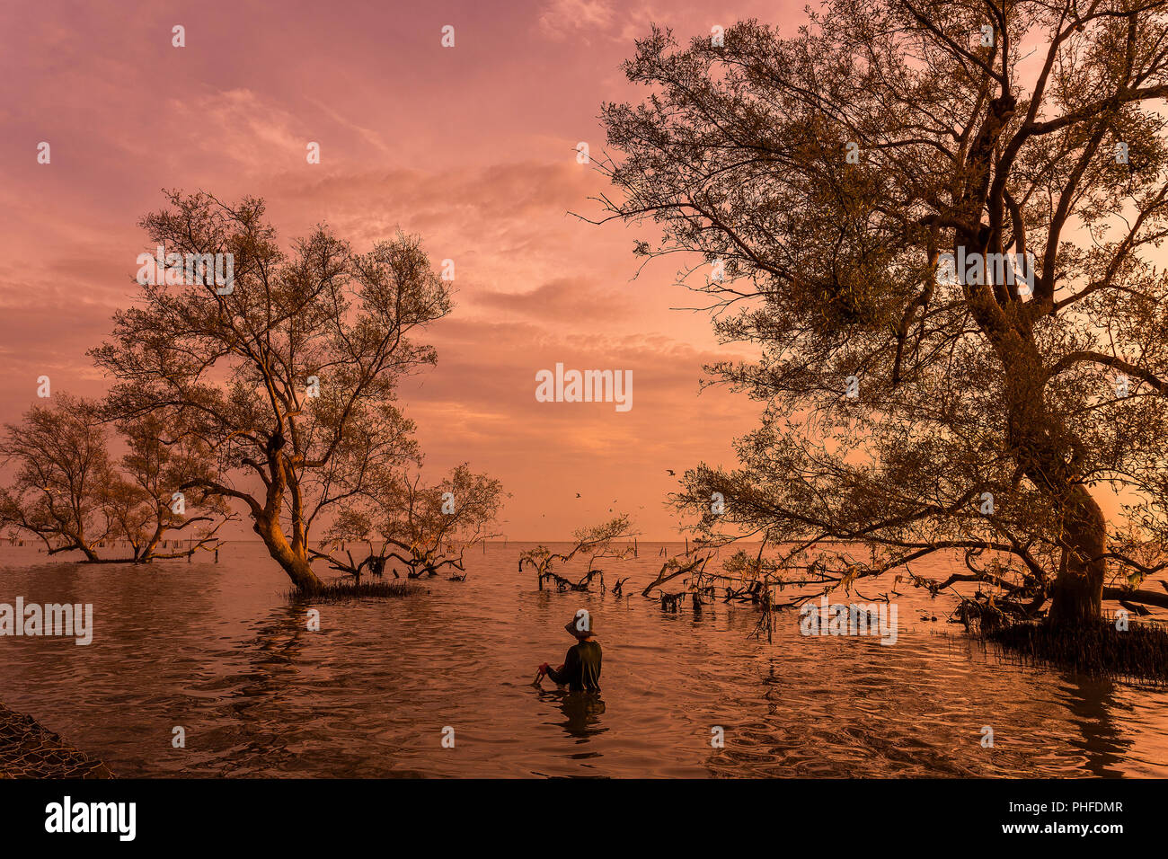 Grandi alberi sull'acqua quando alba / tramonto con pescatore presso la foresta di mangrovie su Thai baia mare tropicale bello sfondo natura Foto Stock