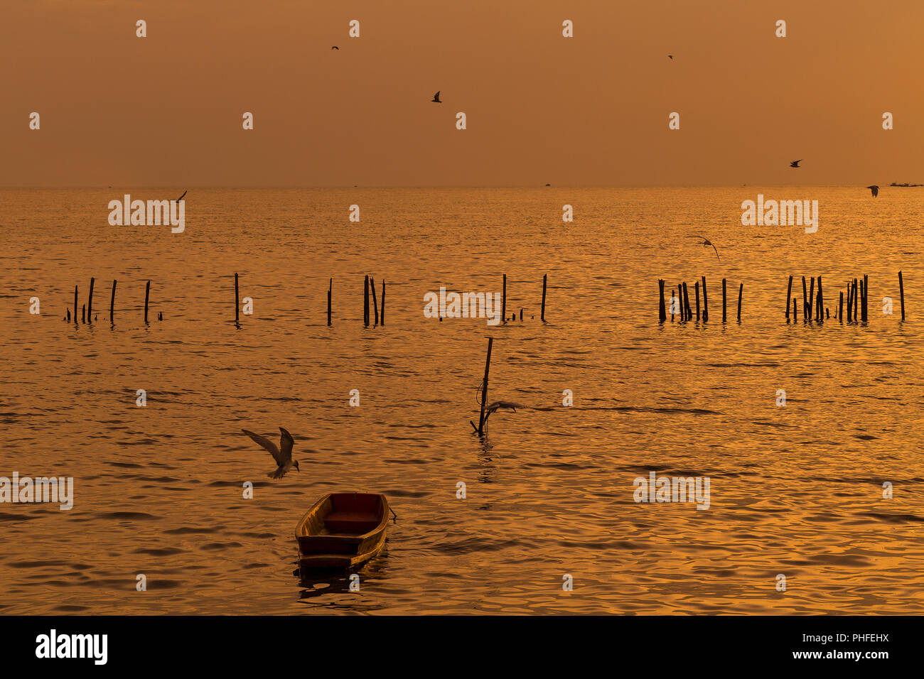 Lonely in legno barca dei pescatori con i gabbiani quando il tramonto / alba sul mare una libertà e un tranquillo Foto Stock