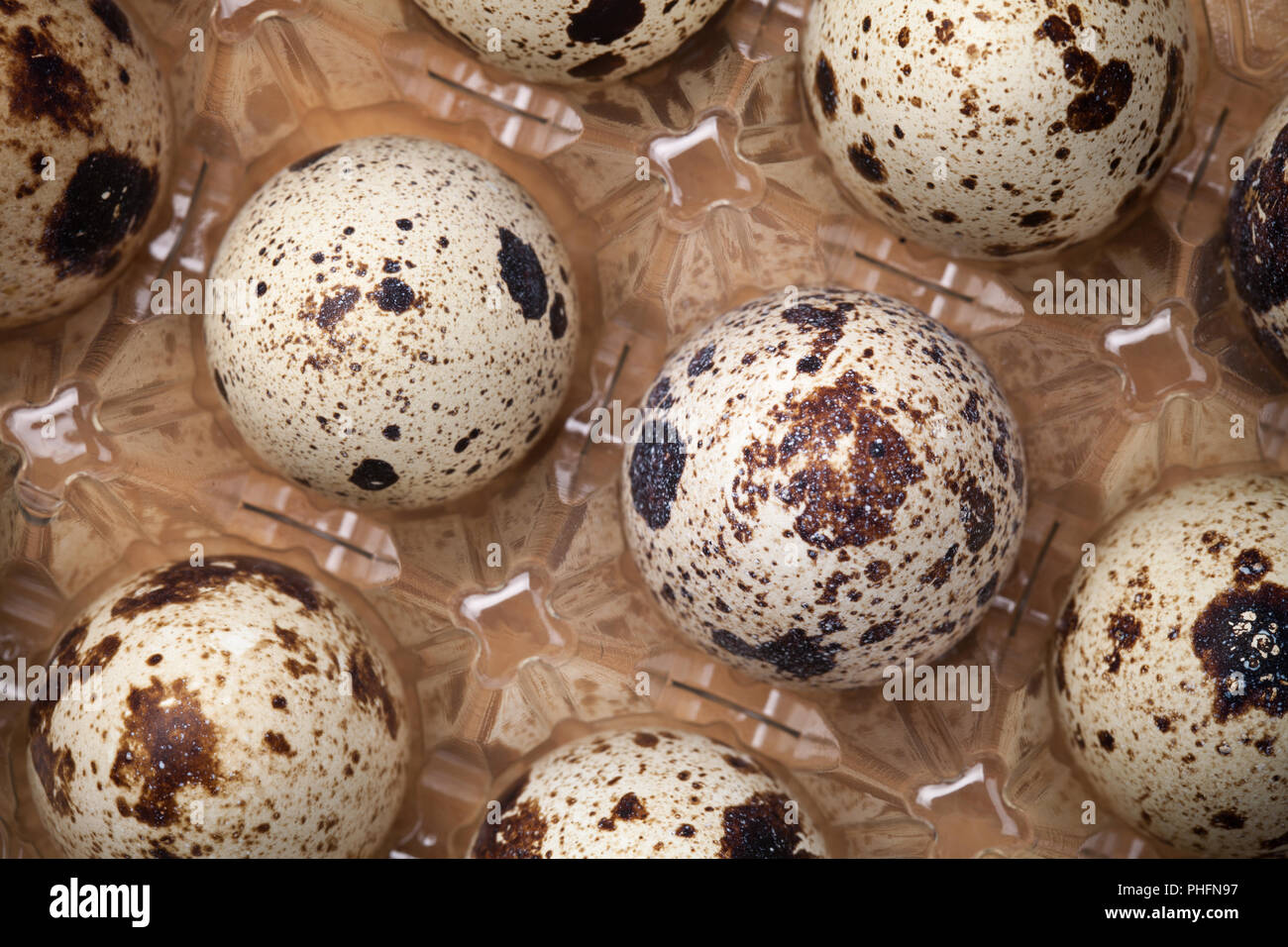 Uova di quaglia in contenitore di plastica su uno sfondo di legno Foto Stock