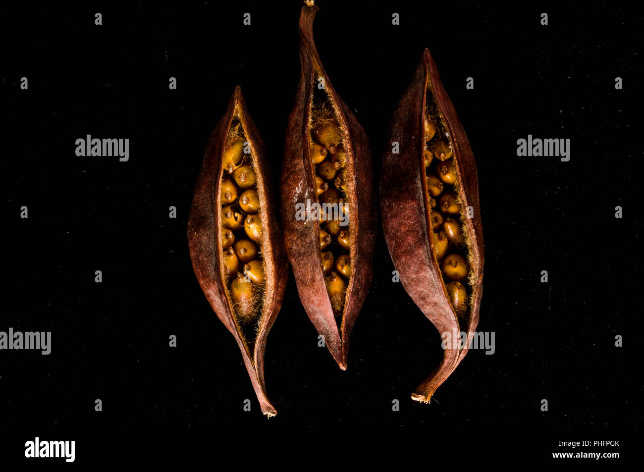 Close-up di semi di frutta Foto Stock