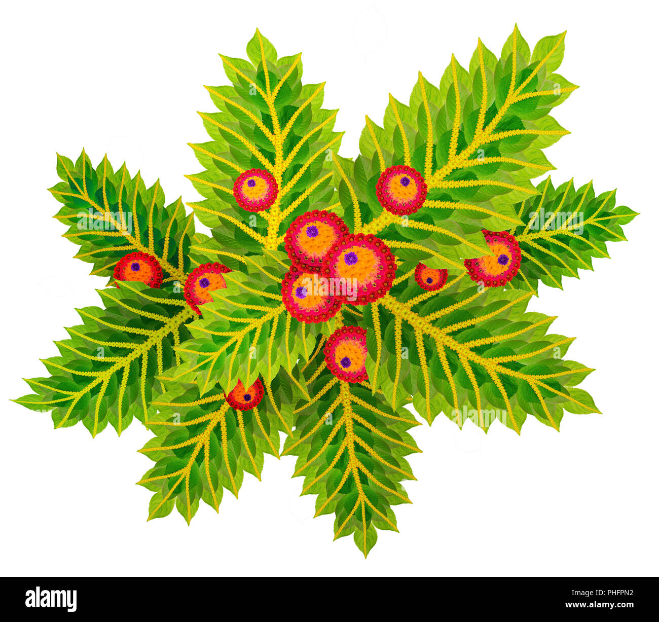 Natale Holly con frutti di bosco Foto Stock