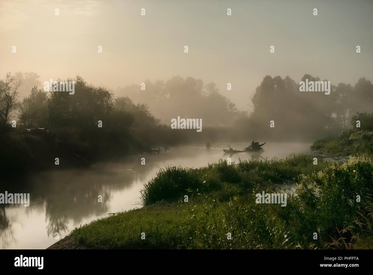 La luce della luna di notte su fiume Foto Stock