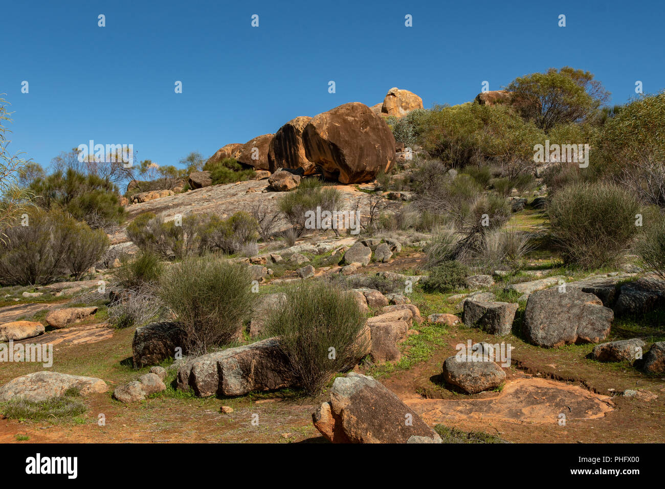 Billyacatting Hill, Kununoppin, WA, Australia Foto Stock