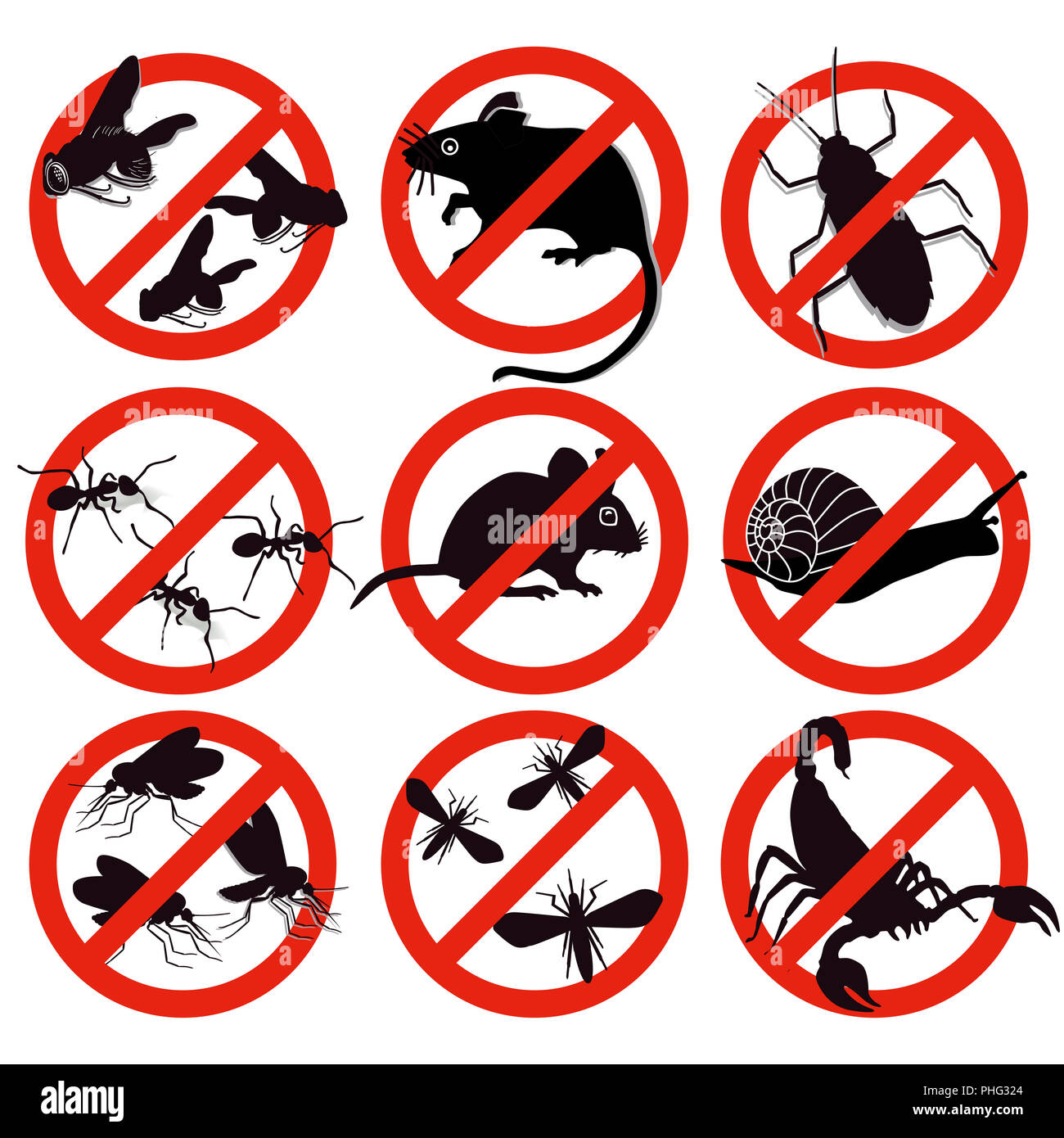 Parassiti, controllo di peste Foto Stock