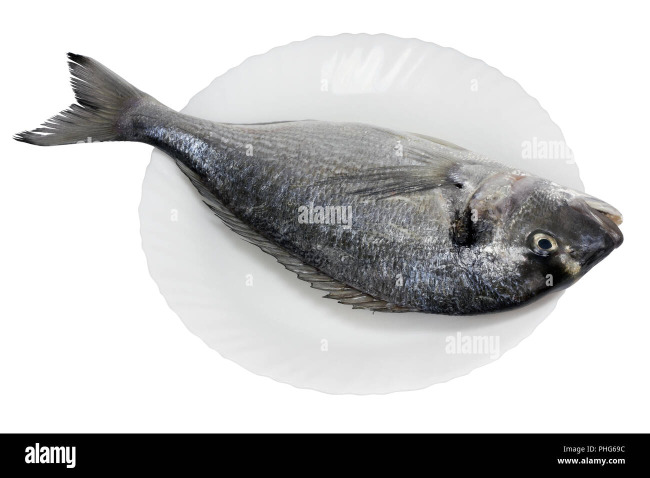 Fresco del Mare Delfini raggruppatore isolato Foto Stock