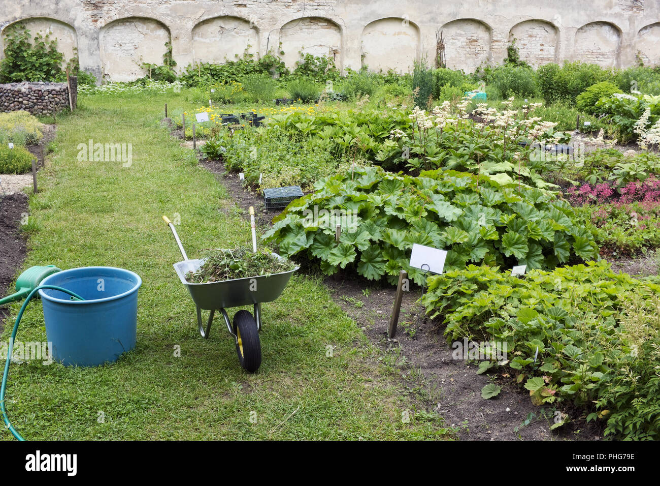 Frammento di un ideale europeo giardino estivo Foto Stock