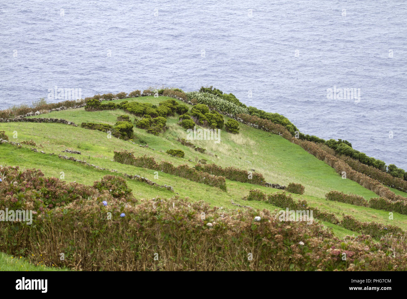 Isola del Corvo, Azoren, Portogallo Foto Stock