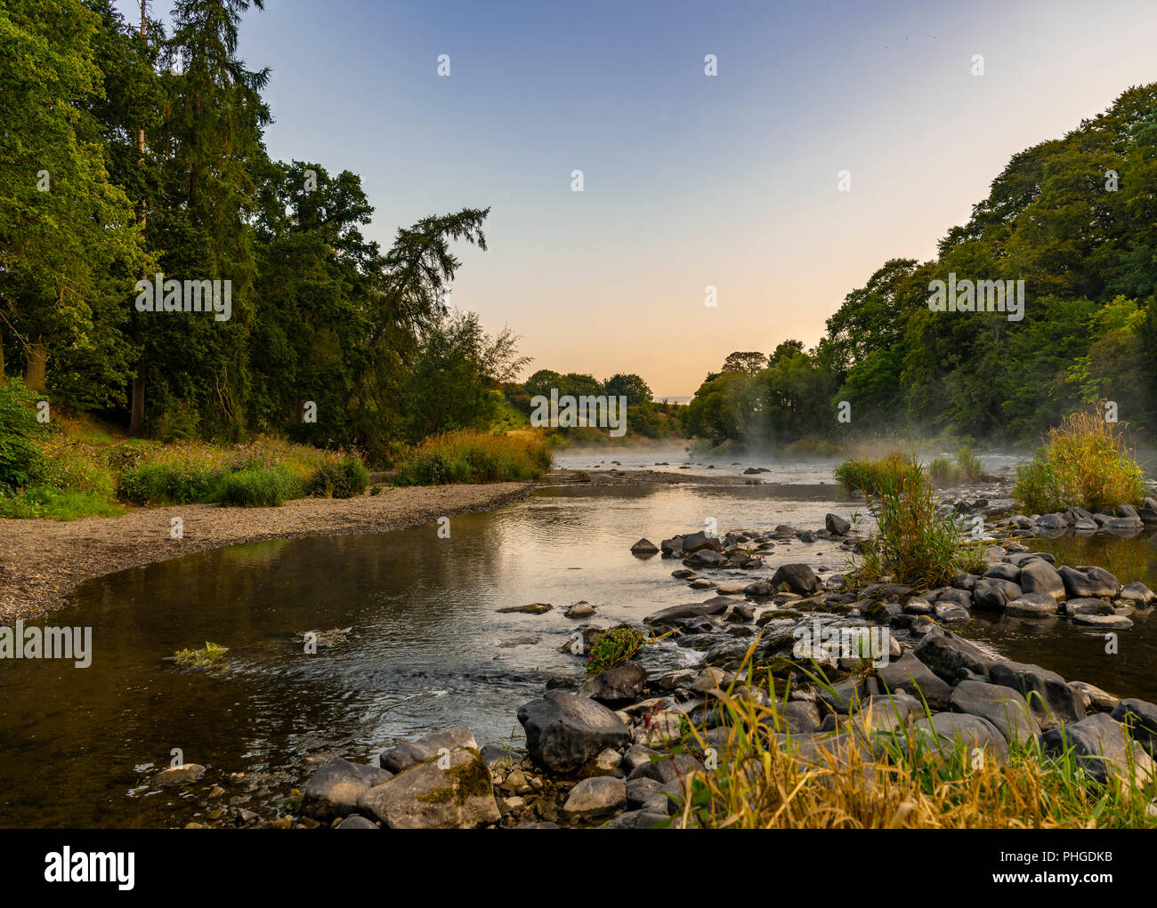 Nebbia pre Dawn sul fiume Teviot, Scozia Foto Stock
