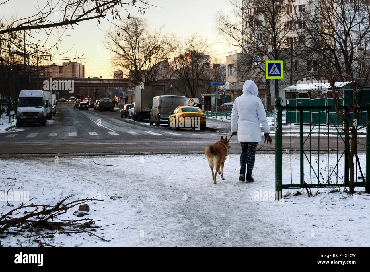 Passeggiate con il cane in città per una giornata invernale Foto Stock