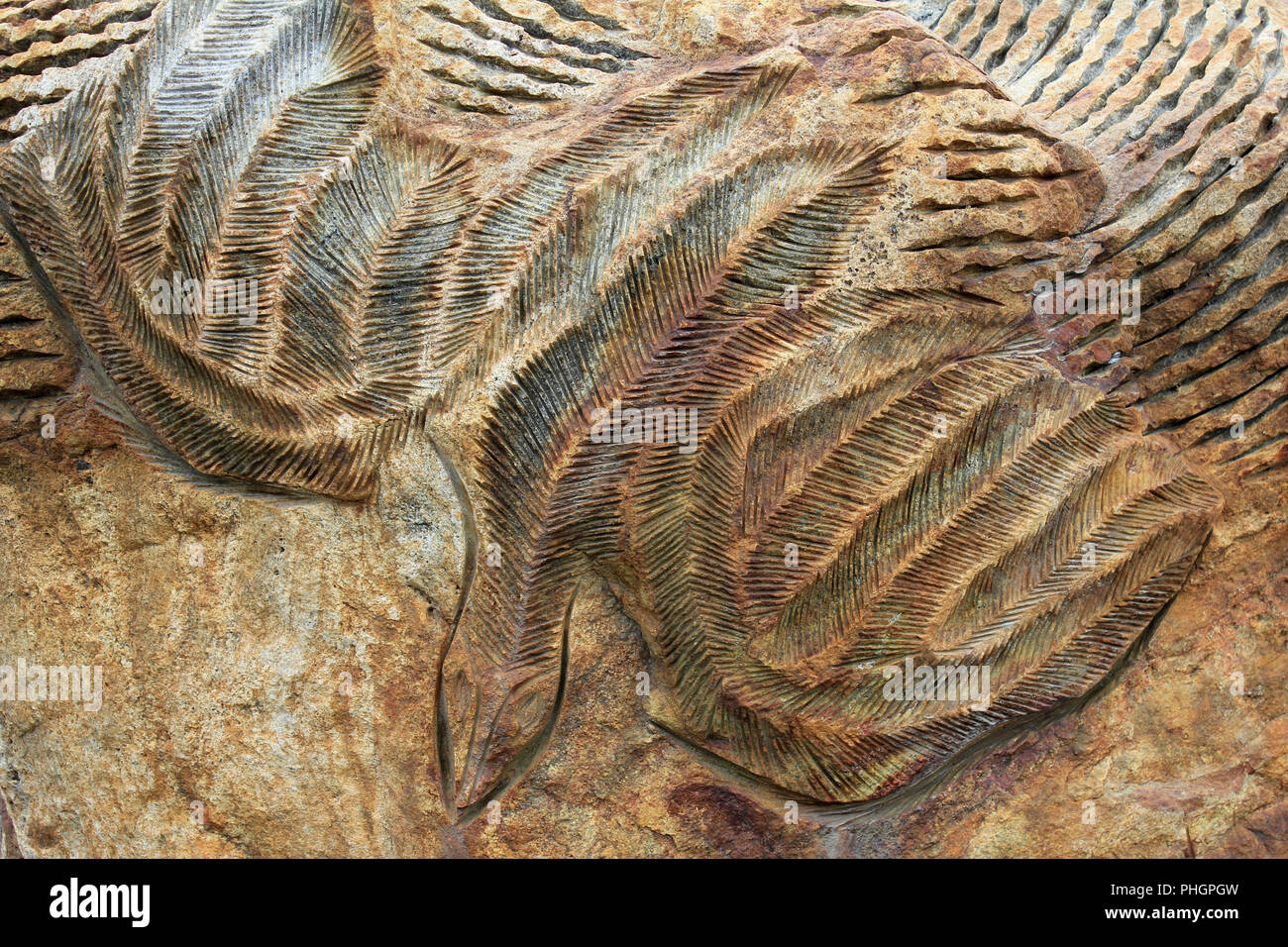 Aquila Inuit Carving Foto Stock
