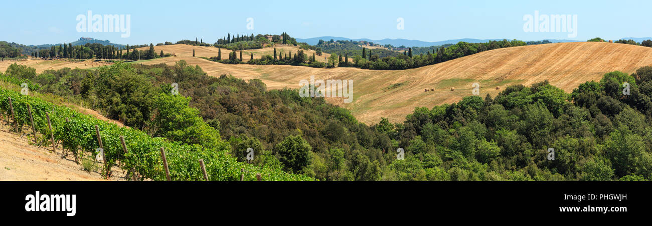 Toscana Estate campagna, Italia Foto Stock