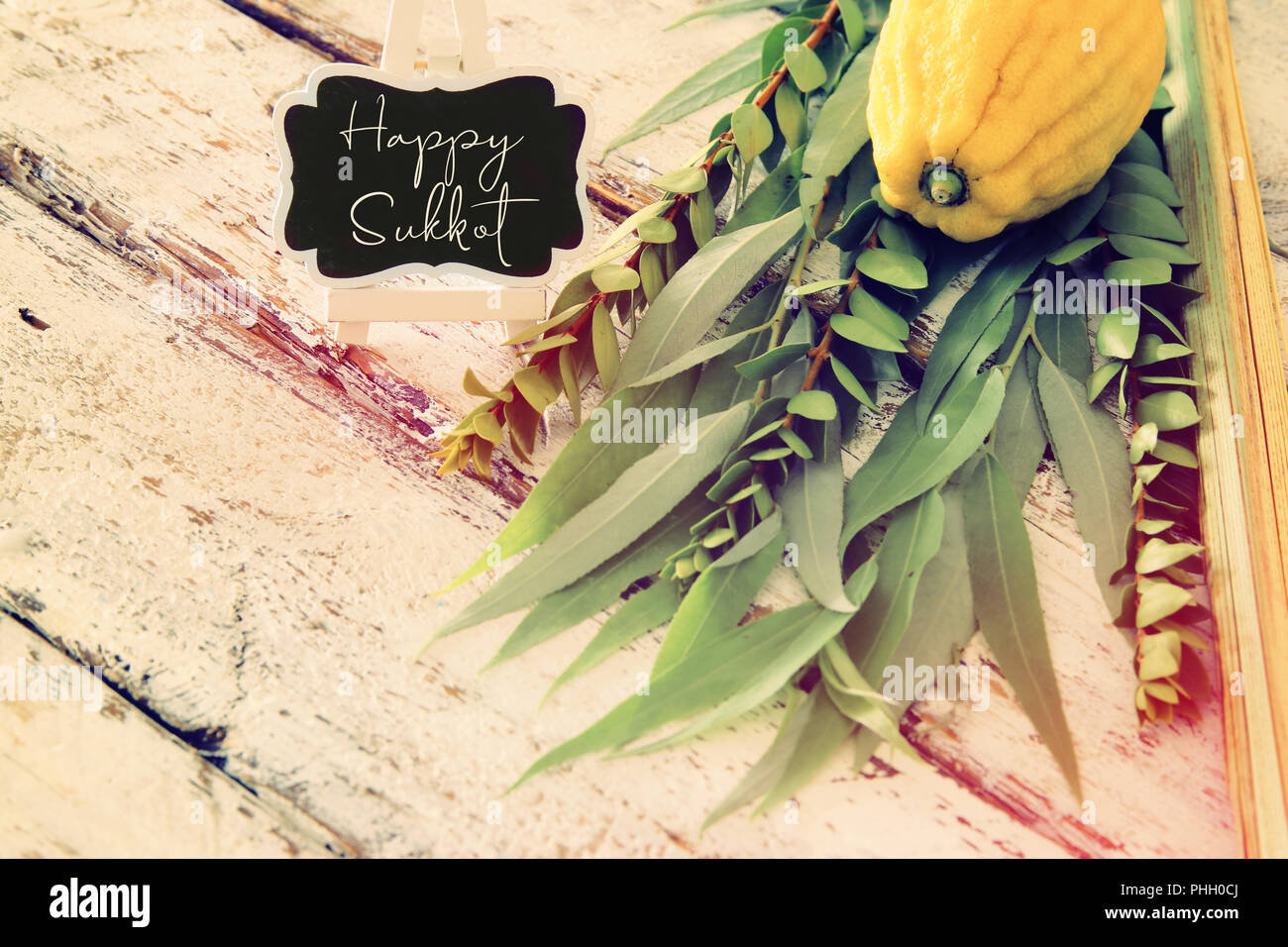 Festa ebraica di Sukkot. Simboli tradizionali (le quattro specie): Etrog, lulav, hadas, arava Foto Stock
