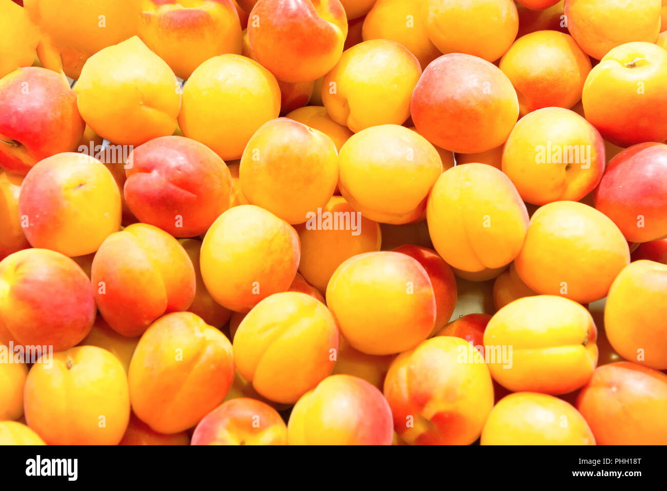 Molti fresche Albicocche sul mercato di fattoria Foto Stock