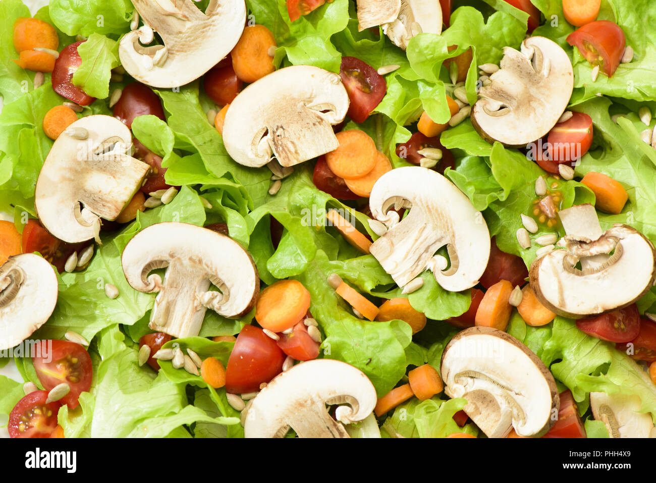 Italiano insalata verde con funghi Foto Stock