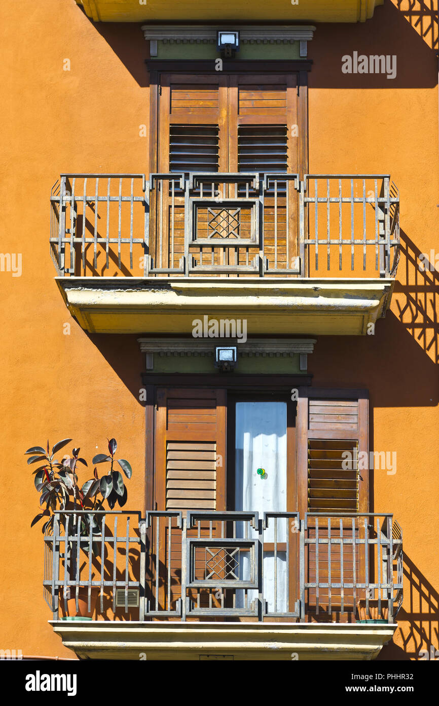 Pianta da gomma Foto Stock