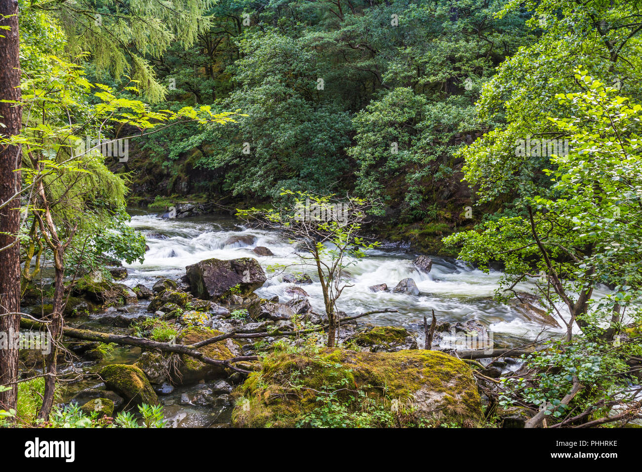Fiume Glaslyn Smowdonia NP, Wales, Regno Unito Foto Stock