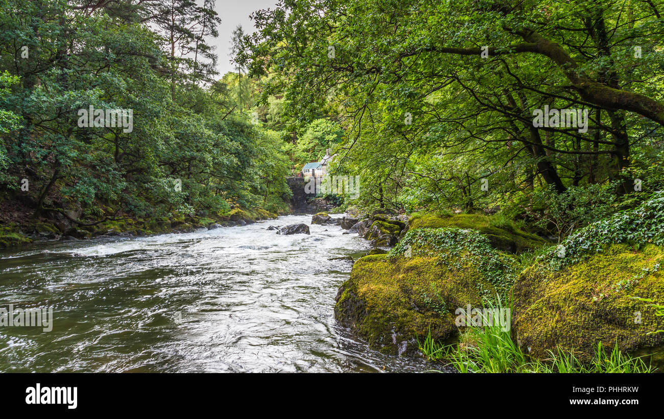 Fiume Glaslyn Smowdonia NP, Wales, Regno Unito Foto Stock