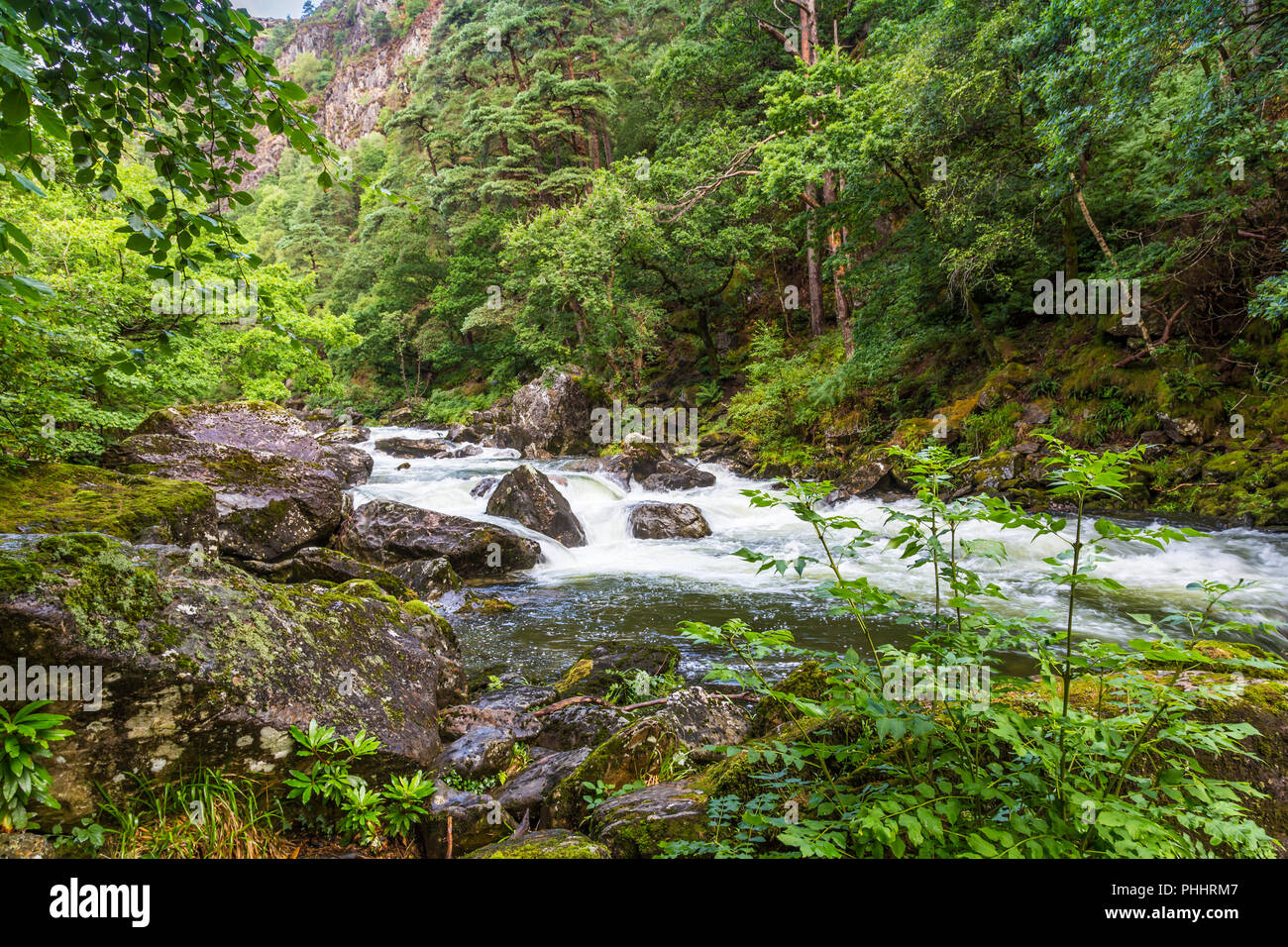 Fiume Glaslyn Smowdonia NP, Wales, Regno Unito Foto Stock