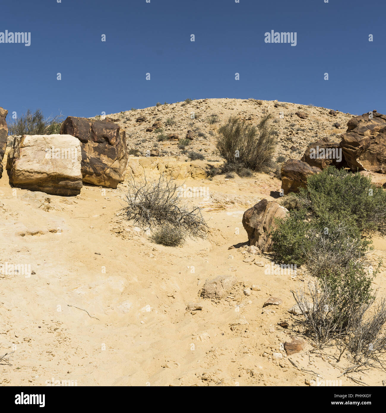 Il paesaggio mozzafiato di Israele Foto Stock