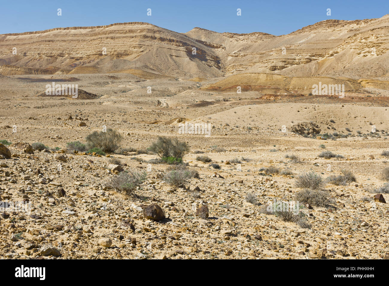 Le formazioni rocciose nel deserto di Israele Foto Stock