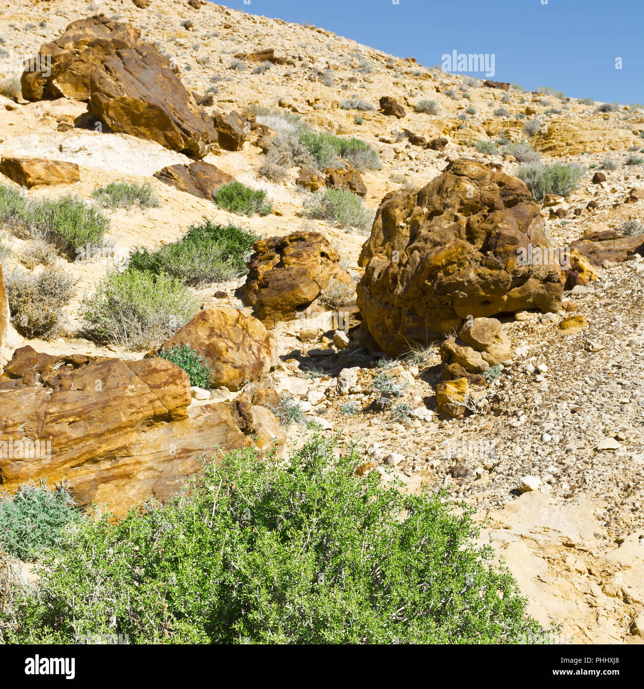 Il paesaggio mozzafiato di Israele Foto Stock