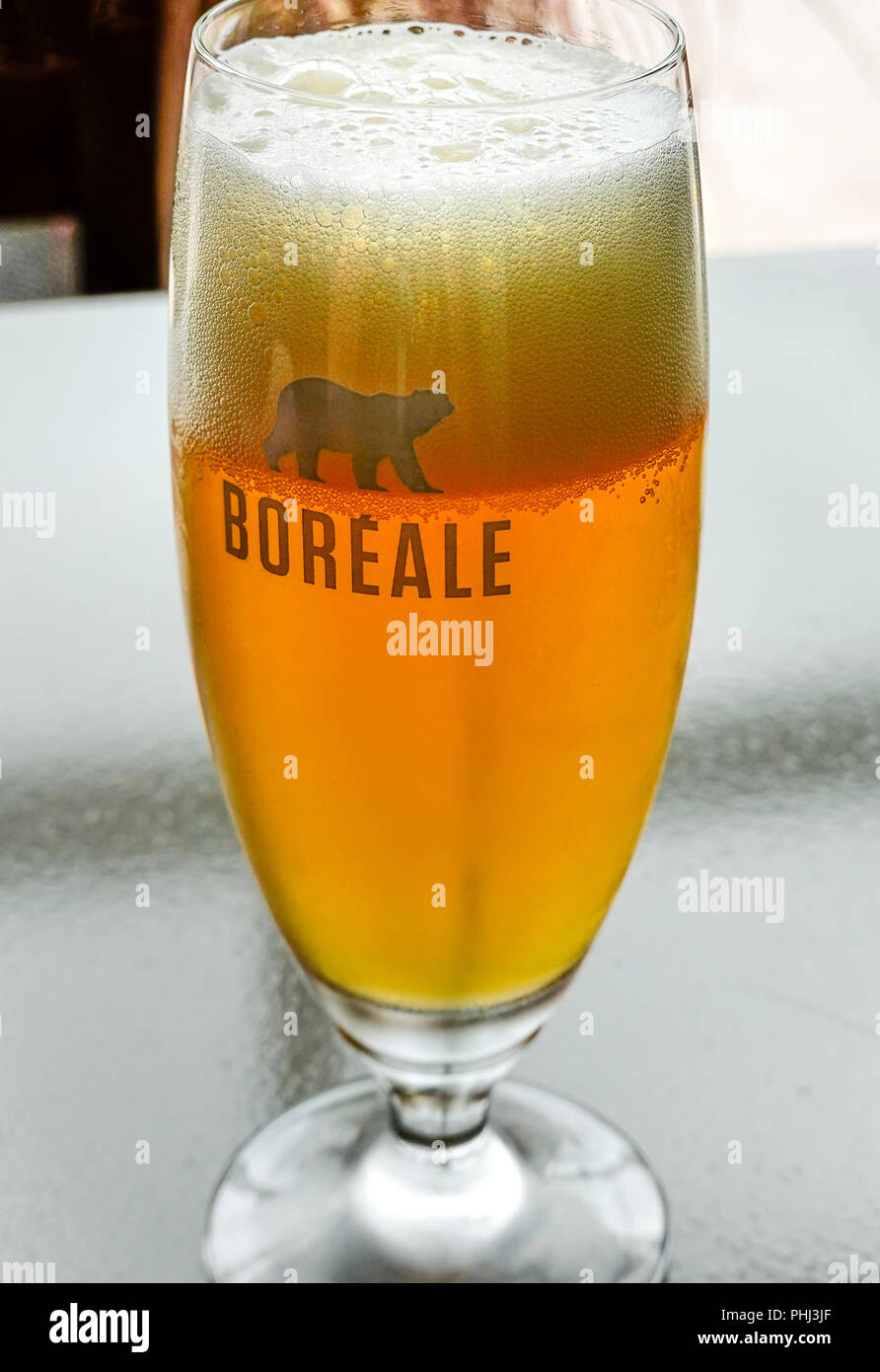 Vetro boreale con orso polare log Foto Stock