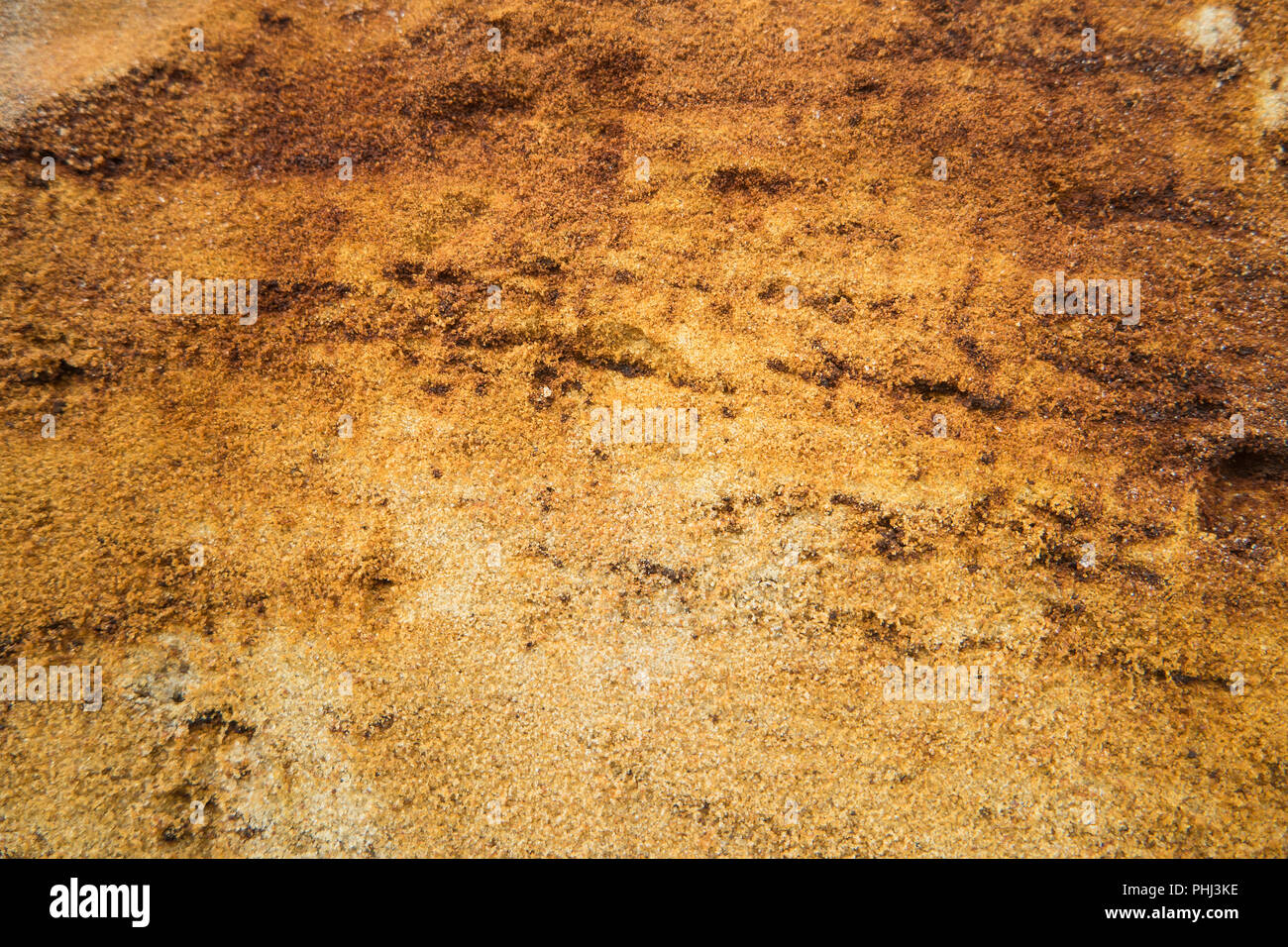 Giallo Naturale texture di sabbia Foto Stock