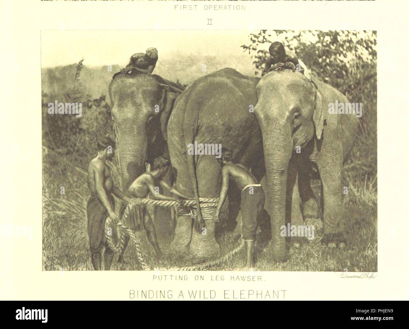 Immagine dalla pagina 185 di 'S.A.R. il Duca di Clarence e Avondale nell India meridionale. Da J. D. Rees ... Con un racconto di un elefante che cattura a Mysore da G. P. Sanderson ... Con mappe, ritratti e illustrazioni' dal Brit0052. Foto Stock