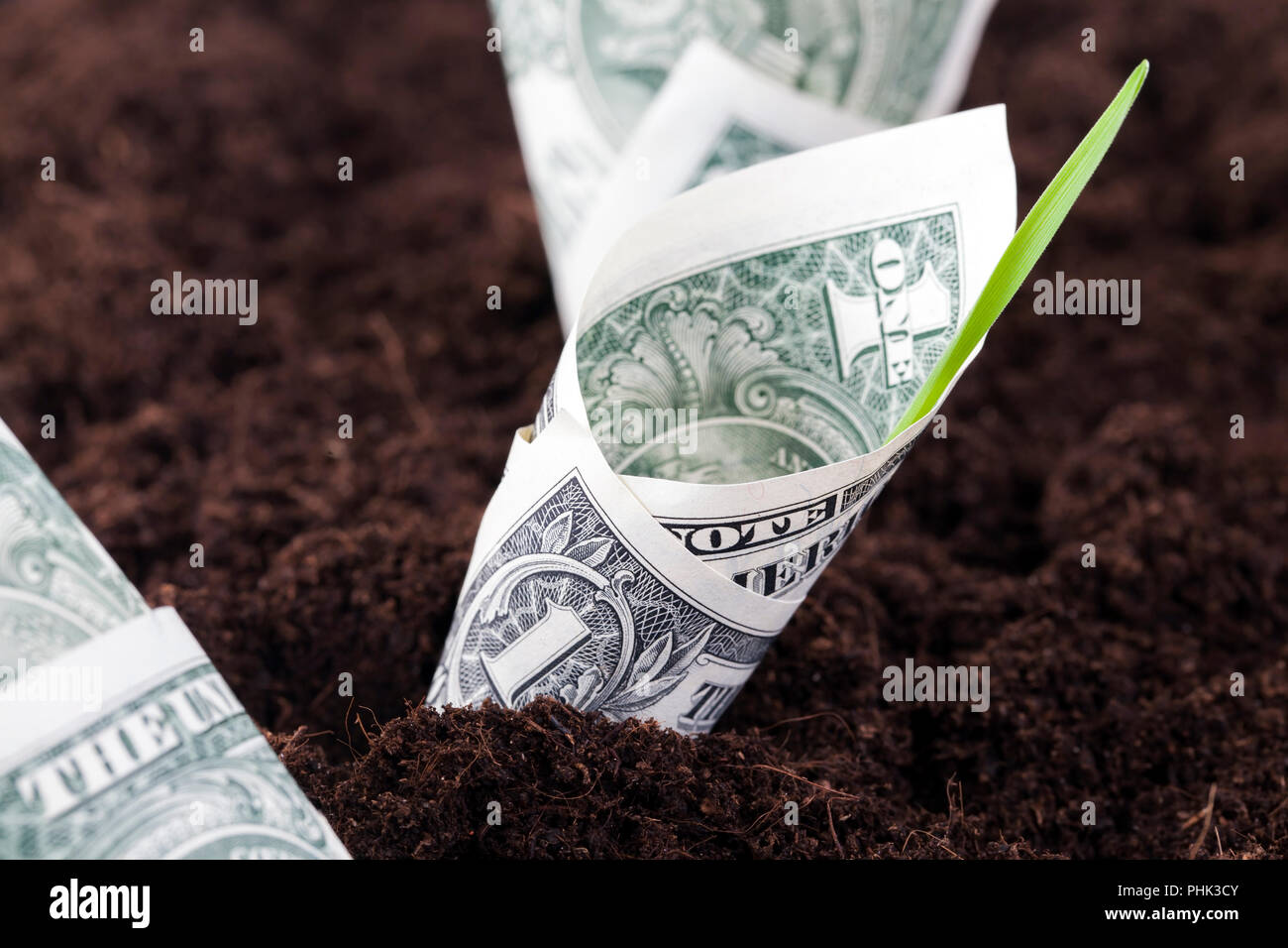 Piantata in terra fertile uno le fatture del dollaro che simboleggiano il profitto, il concetto Foto Stock
