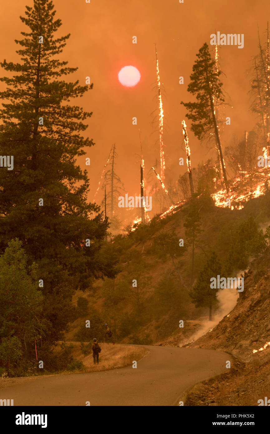 Le fiamme e il fumo girare da giorno a notte presso il Taylor Creek e Klondike fuochi bruciare in Rogue River Siskiyou National Forest Agosto 11, 2018 vicino a Grants Pass, Oregon. Foto Stock