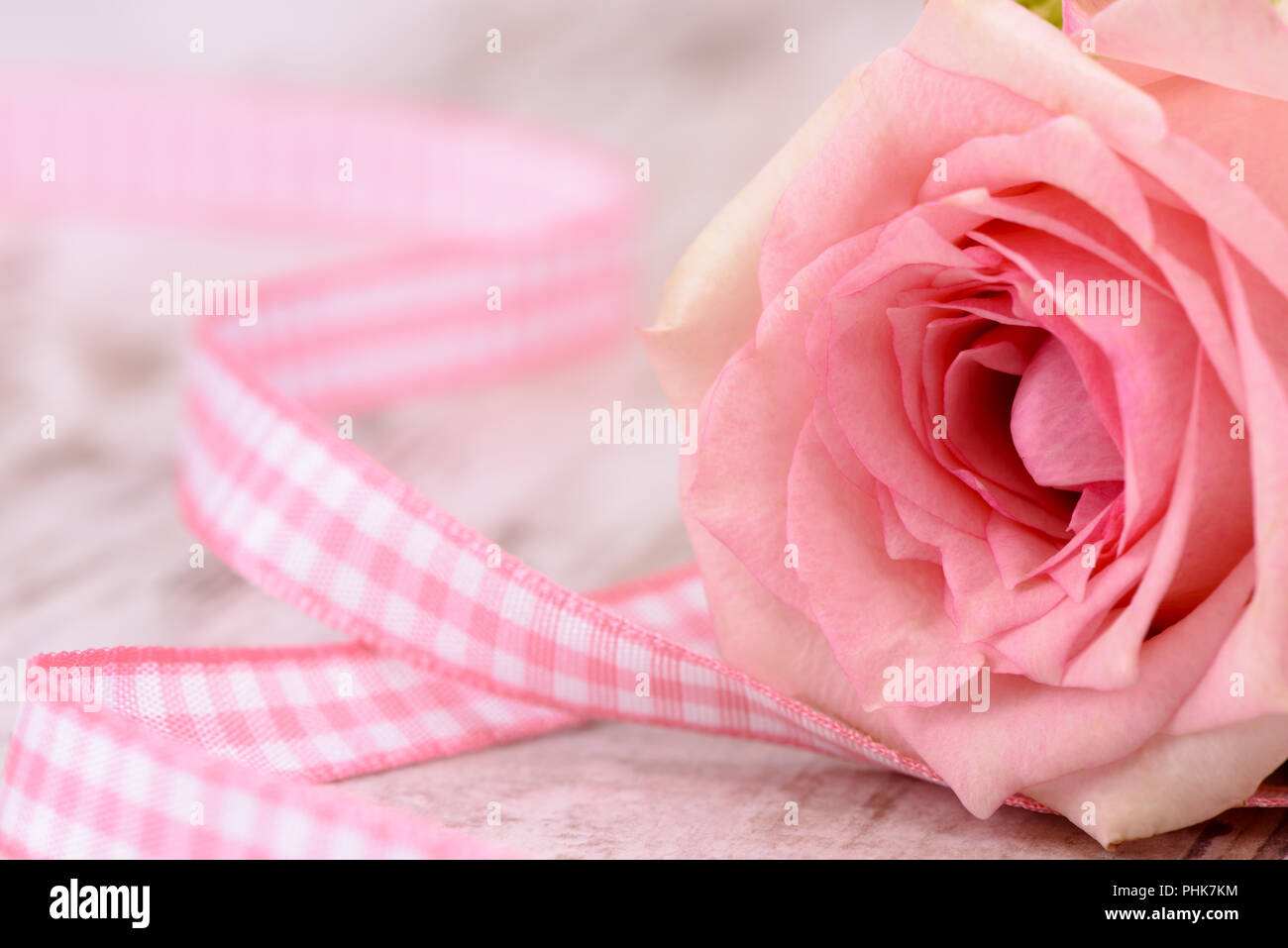 Rose fiore con cuore come simbolo per amore Foto Stock