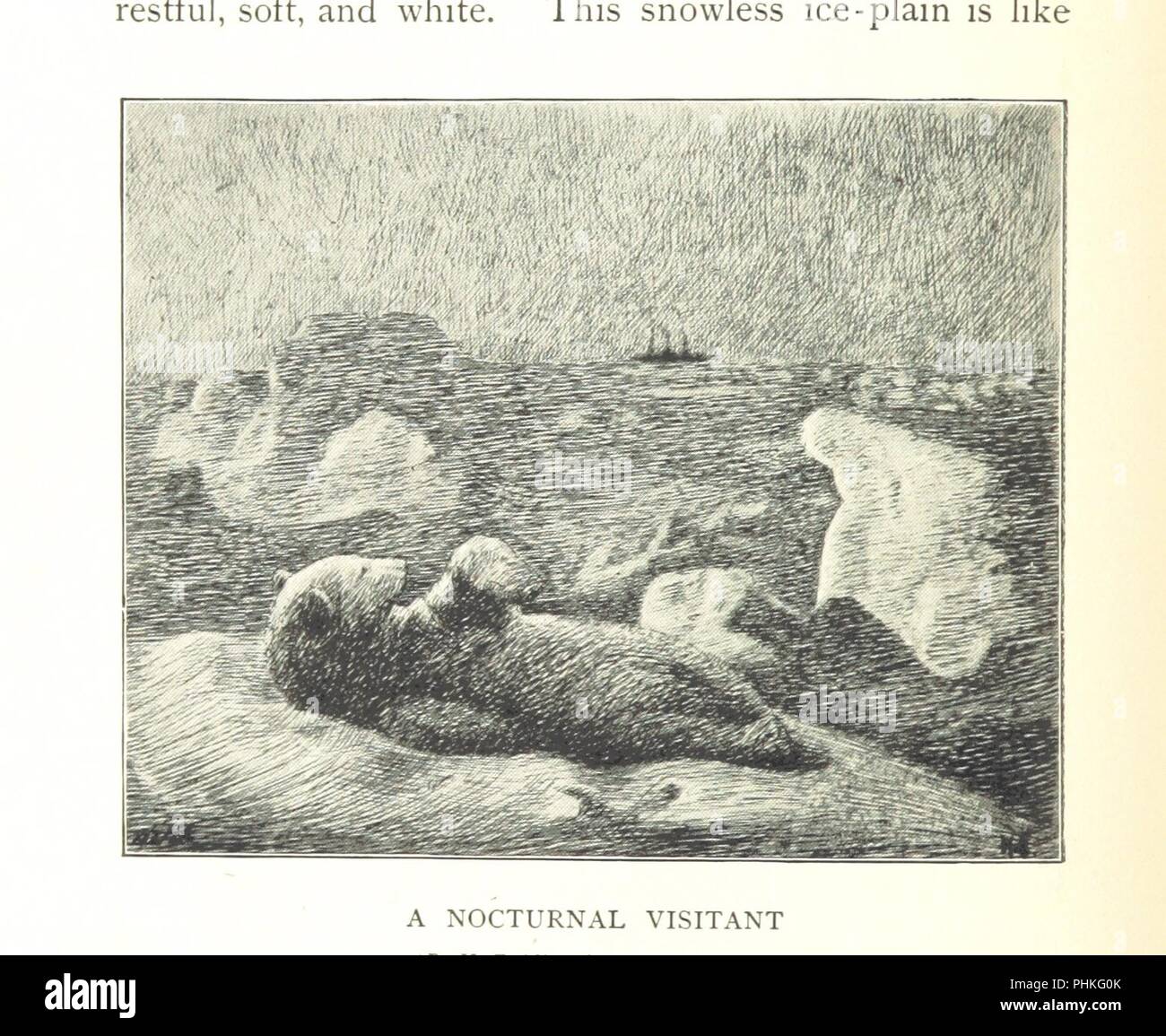 Immagine dalla pagina 382 di 'più lontano a Nord. Essendo il record di un viaggio di esplorazione della nave "Fram", 1893-96, e di quindici mesi di viaggio in carrozza dal dottor Nansen e Lieut. Johansen ... Con una appendice da Ott0064. Foto Stock