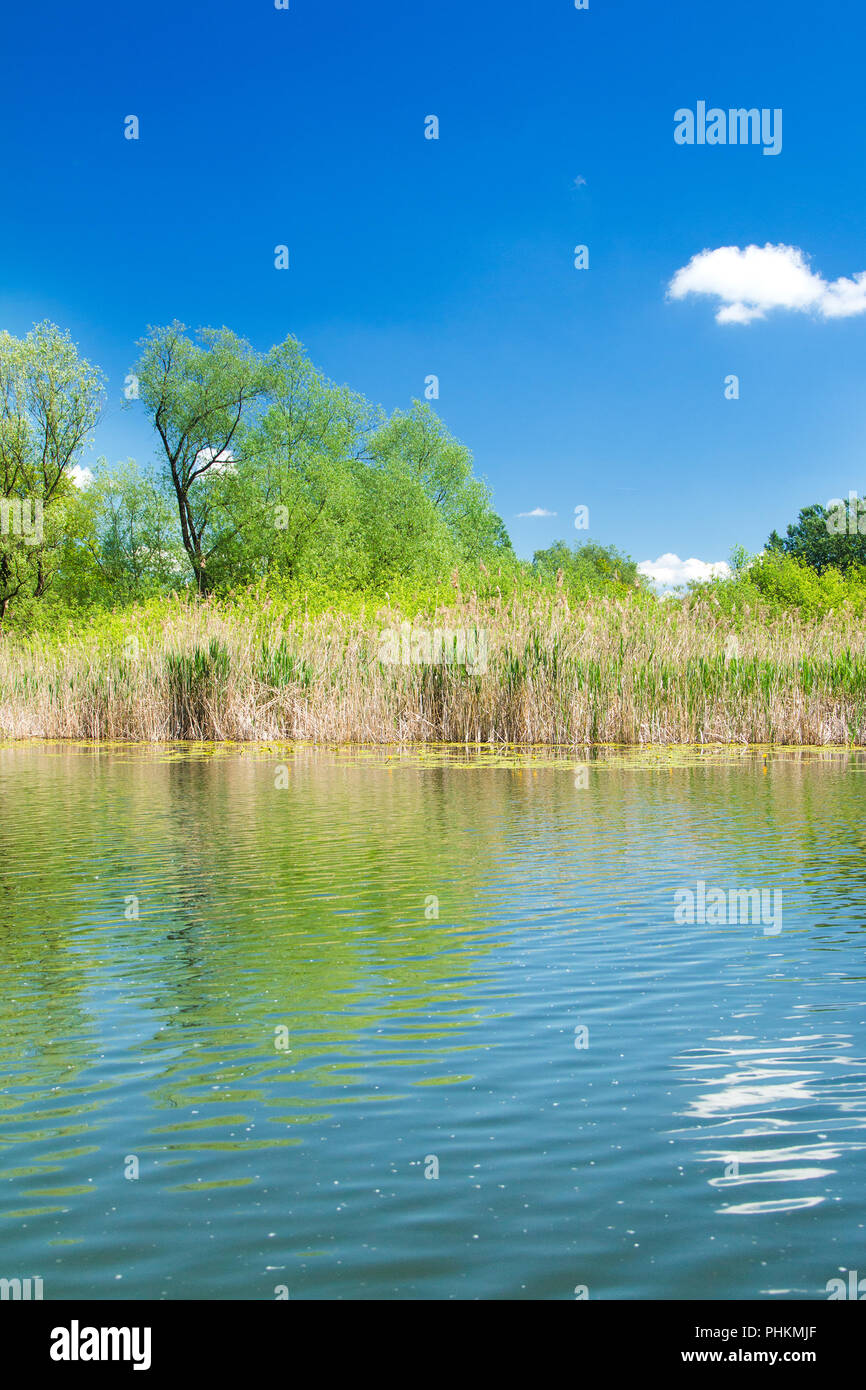 Bel paesaggio di campagna, lago nel parco naturale di Lonjsko polje, Croazia Foto Stock