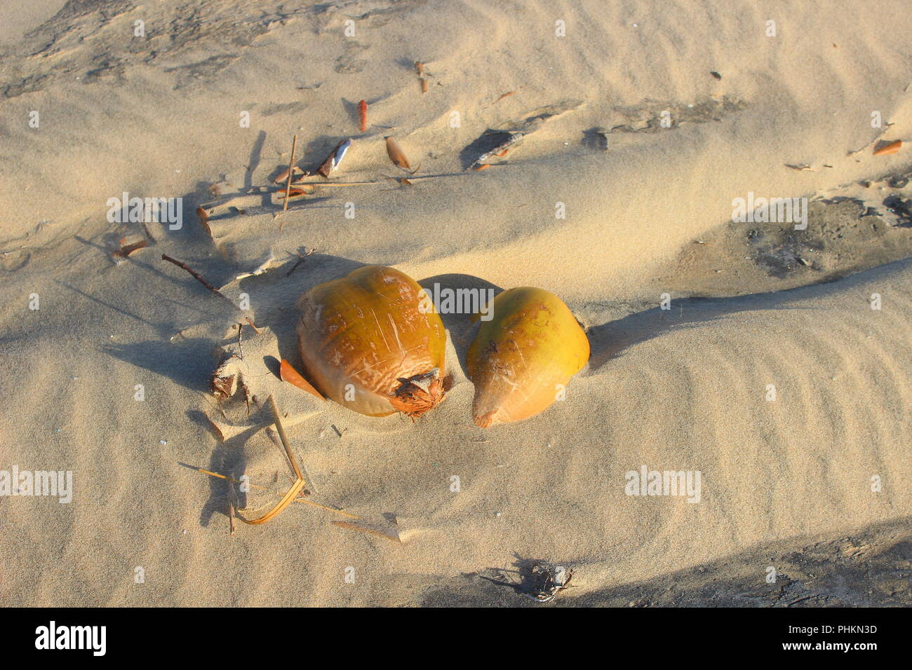 Noci di cocco sulla spiaggia di Praia do Tofo - Mozambico Foto Stock