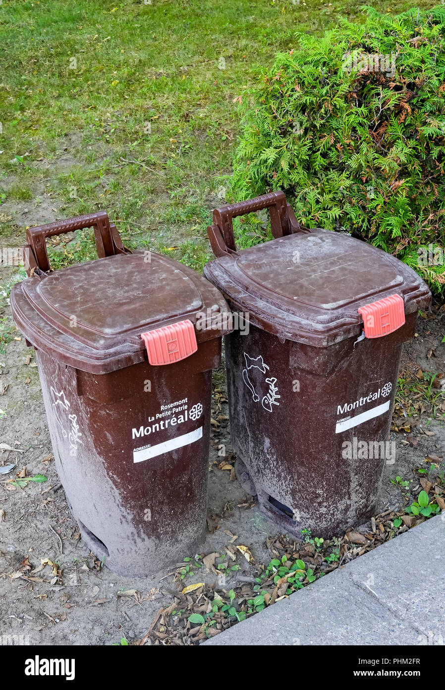 Brown cassonetti per la raccolta di compost in Montreal, QC, Canada Foto Stock