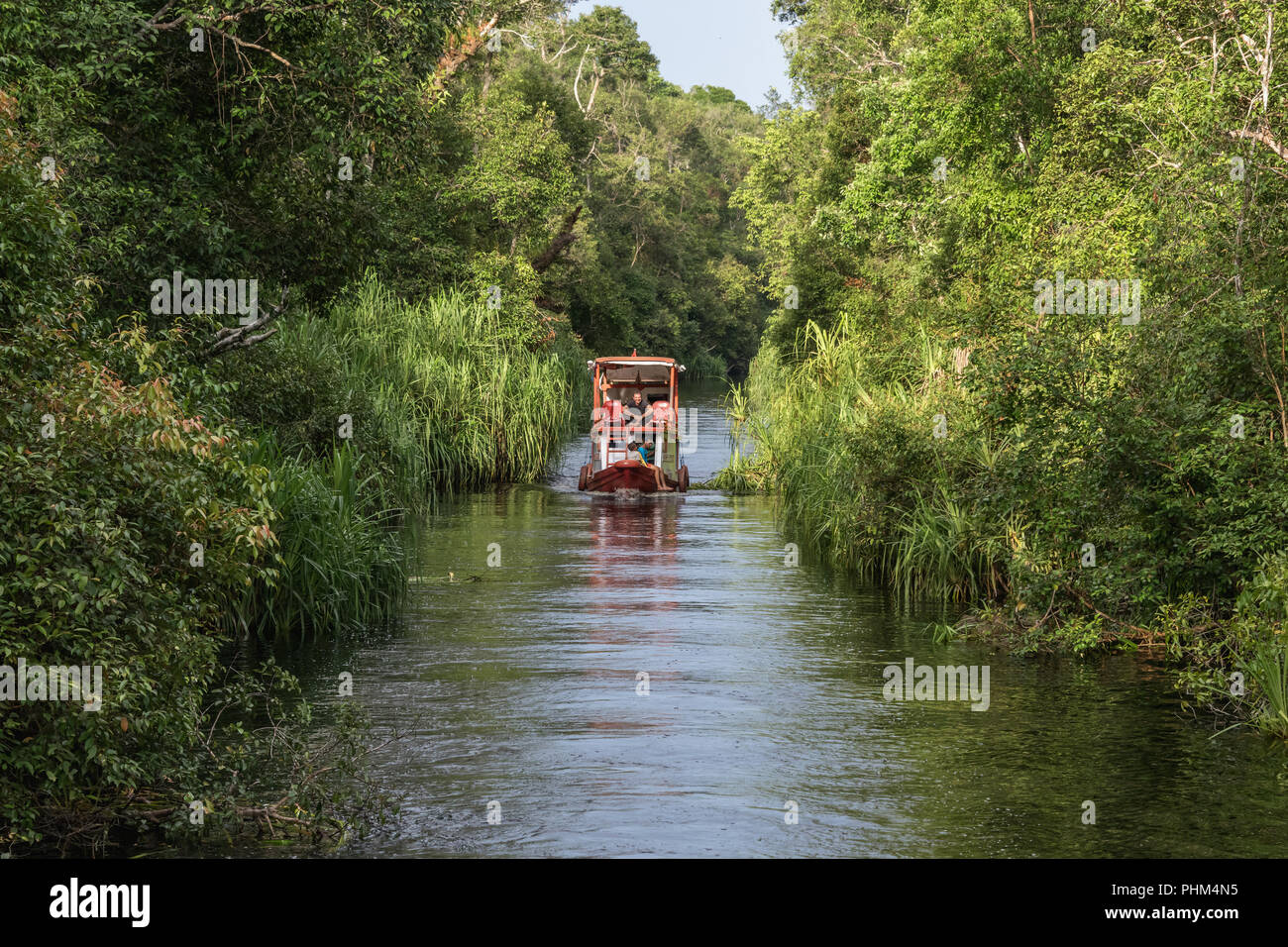 Klotok imbarcazione turistica sul fiume Sekonyer 2, Tanjung messa National Park, Kalimantan Foto Stock