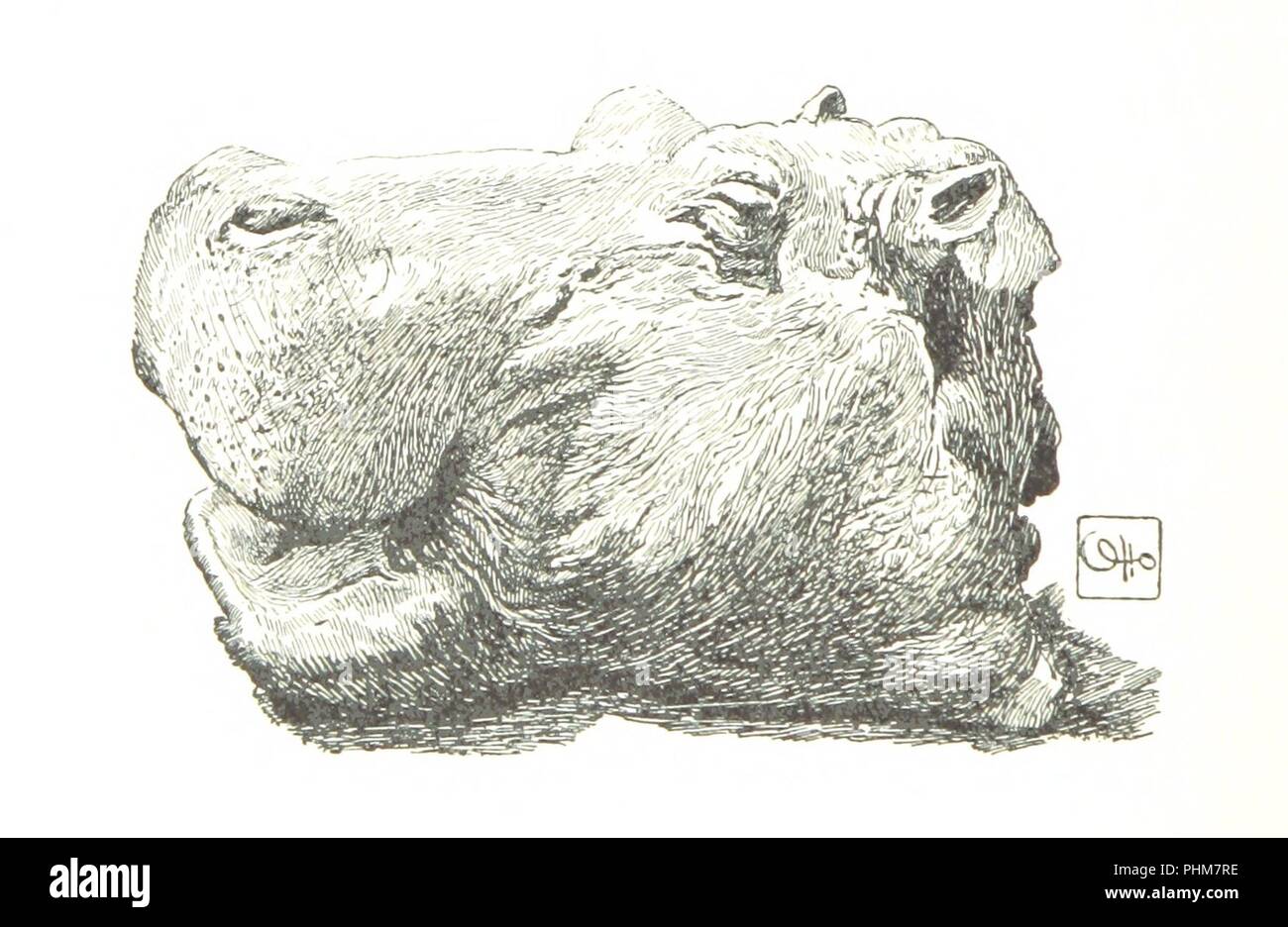 Immagine dalla pagina 540 di 'attraverso la giungla e deserto. Viaggi in Africa orientale ... Con illustrazioni da fotografie dall'autore e mappe. [Con un ritratto.]' . Foto Stock