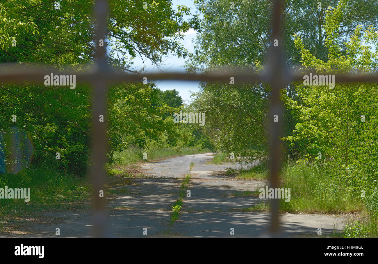 Parksrange, ehemaliger Truppenuebungsplatz, Osdorfer Strasse, Lichterfelde Berlino, Deutschland Foto Stock