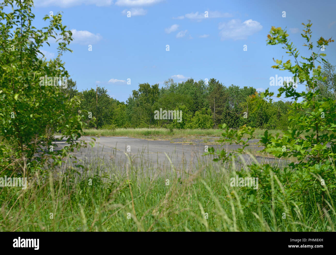 Parksrange, ehemaliger Truppenuebungsplatz, Osdorfer Strasse, Lichterfelde Berlino, Deutschland Foto Stock