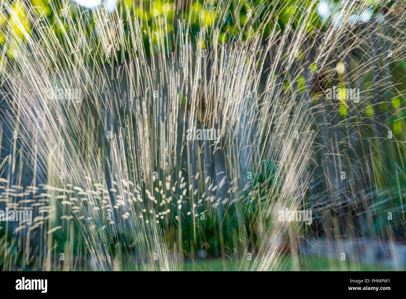 Acqua a sparare in aria al di sopra di un irrigatore da giardino in un cortile di Sydney Foto Stock