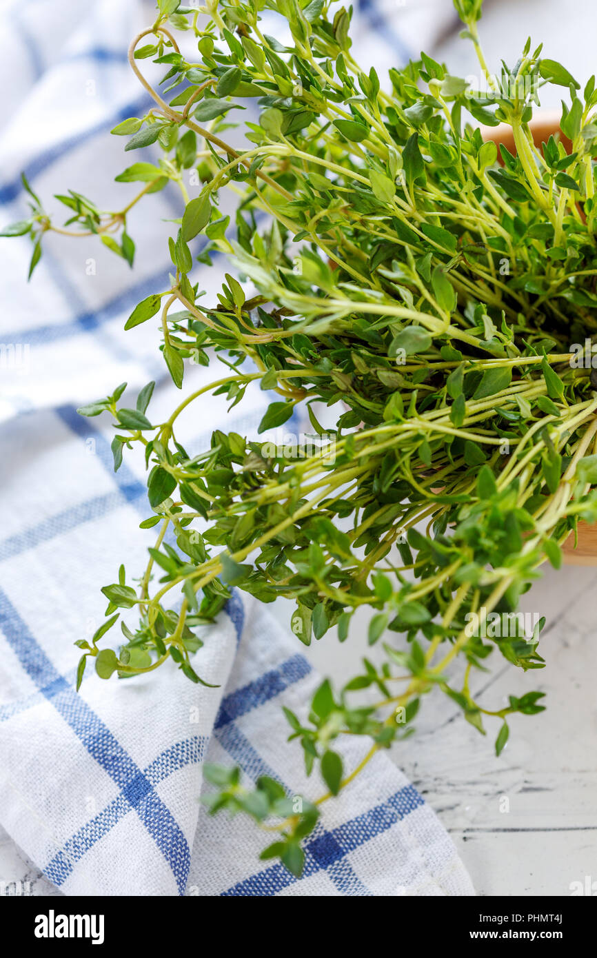 I rametti di timo fresco. Foto Stock
