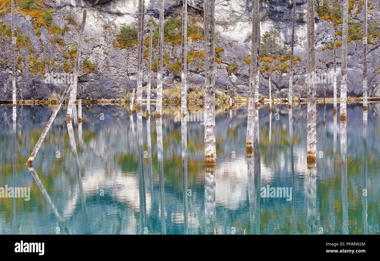 Una vista maestosa della foresta affondata nel lago Kaindy, Kazakistan. Foto Stock