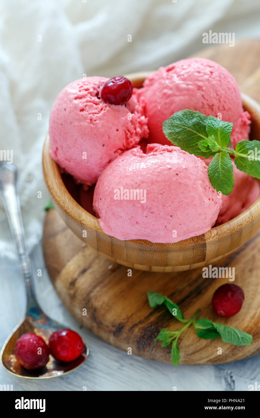 Ciotola con mirtillo rosso artigianale gelato. Foto Stock