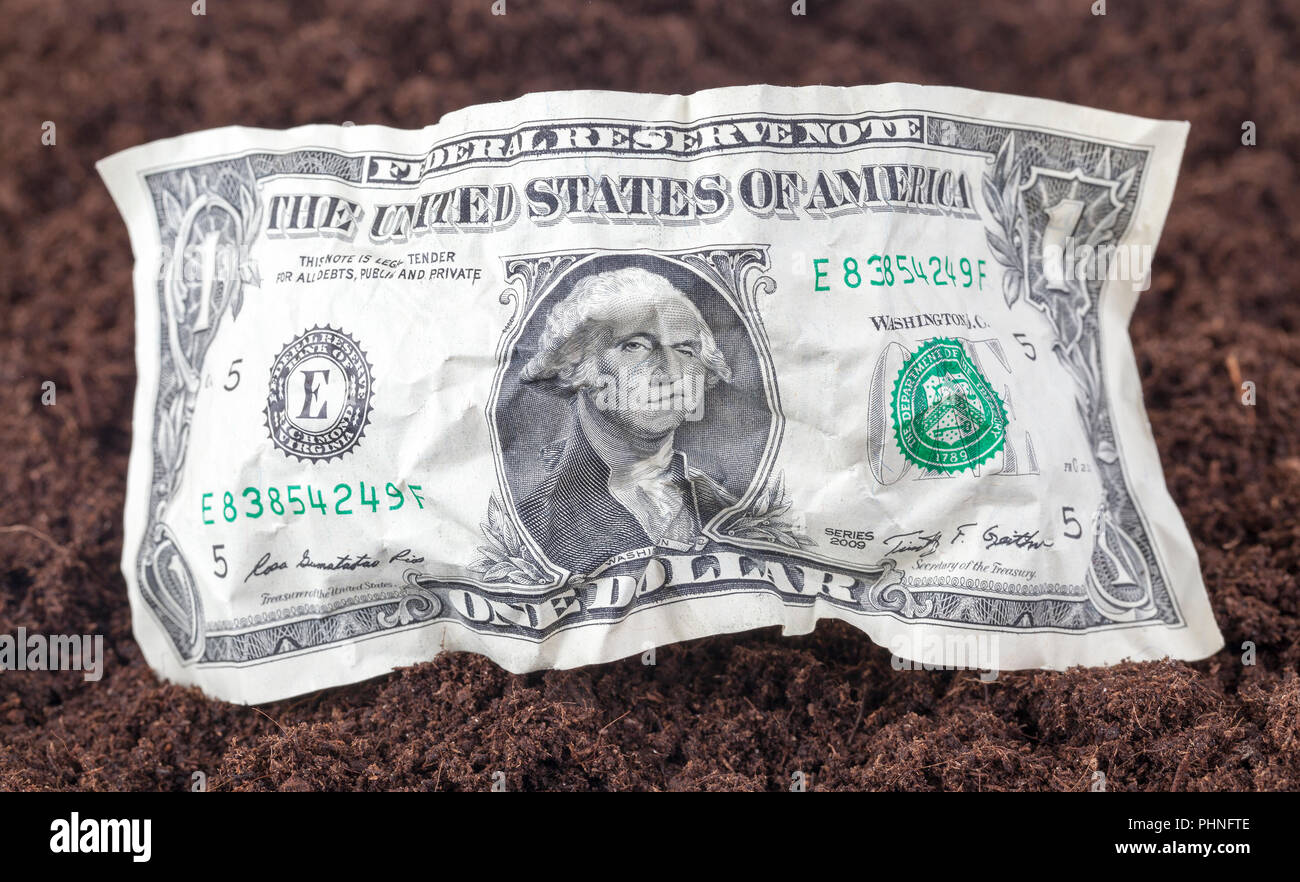 Uno accartocciata dollaro americano si trova sul terreno sporco sul campo, primo piano Foto Stock