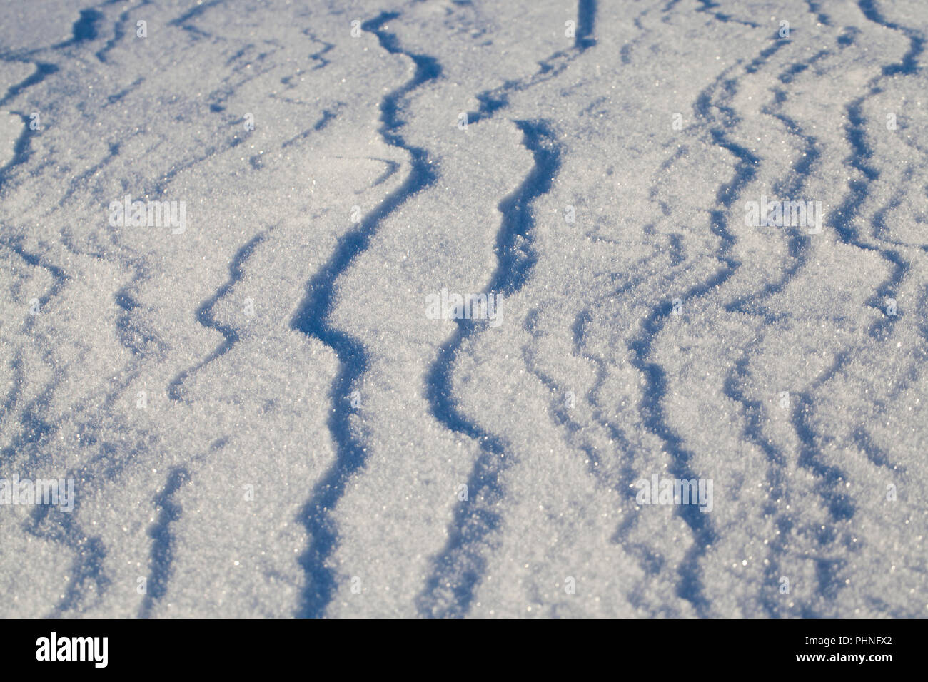 La superficie della neve avente una struttura ondulata dopo la caduta di neve con un vento forte Foto Stock
