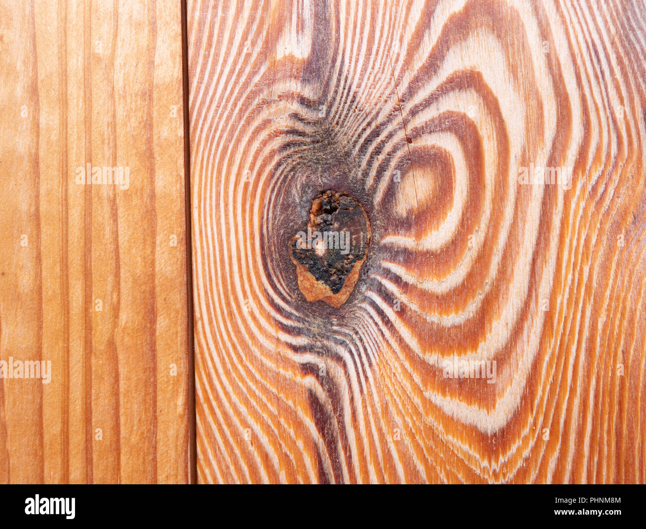 Texture di legno per lo sfondo Foto Stock